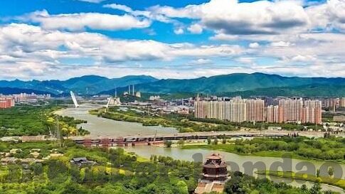 九游交易平台app-九游交易平台APP，安全与便捷并行的数字商品交易新体验